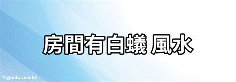 屋企有蟻風水|白蟻影響風水（風水古文口訣） — 黃渙博玄學網﹣香。